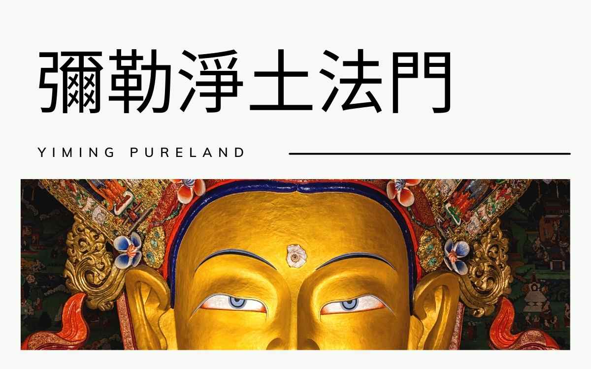  弥勒净土法门