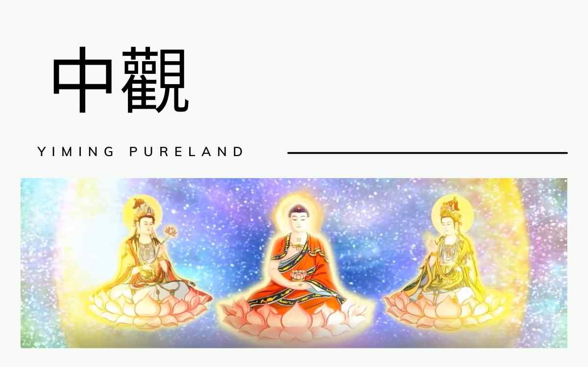 中观