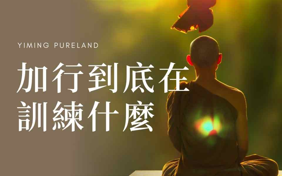 加行到底在训练什么