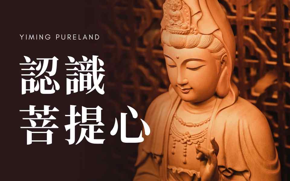 认识菩提心（全集）