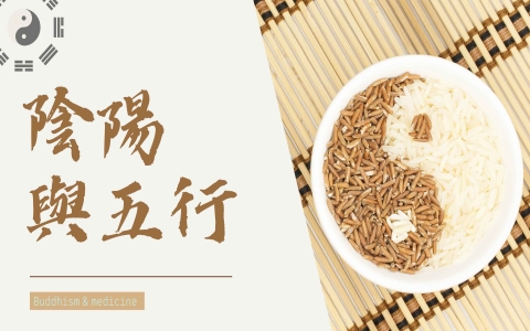 略谈中医的五行与阴阳