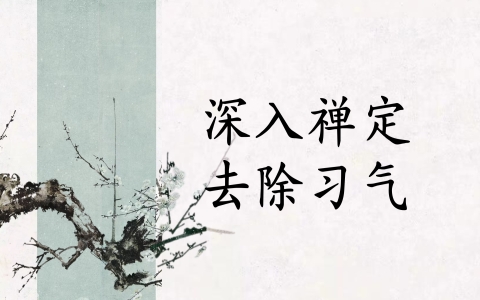 深入禅定去除习气