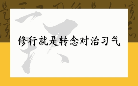 修行就是转念对治习气