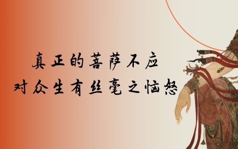 真正的菩萨不应 对众生有丝毫之恼怒