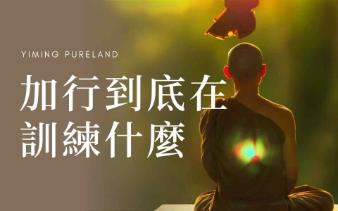 加行到底在训练什么